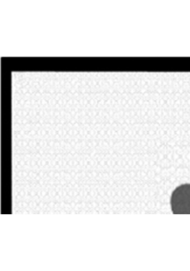 Homyl Pet Çit Kapalı Güvenli Koruma Köpek Kapısı Stil-h