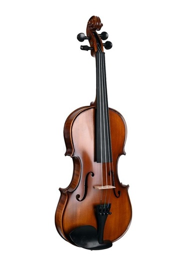 Lichtenberg Vf600 Masif Keman