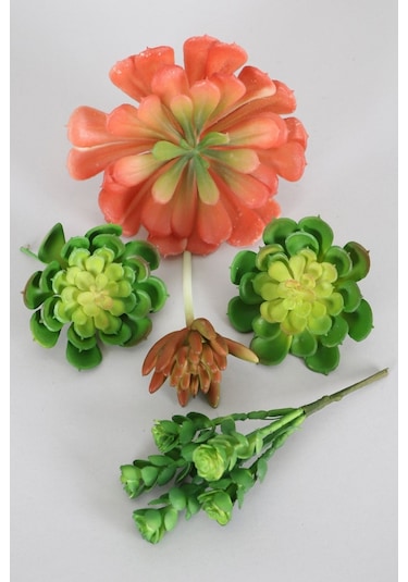 Yapay Succulent Sukulent Set - 5