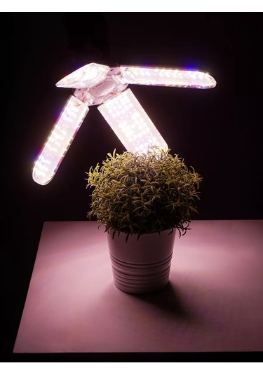 Bez Brenda E27 Duy Ve Askılı Bitki Lambası Kablosu 203725405 Diğer