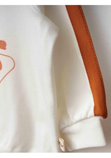 Erkek Bebek Dinazor Baskılı Organik Eşofman Takım-15477 renkli