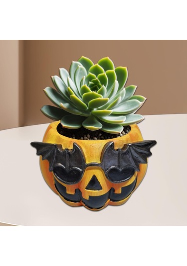 Suntek Kabak Saksı Hediye Dekorasyon Süsler Ev Mutfak Stil-a