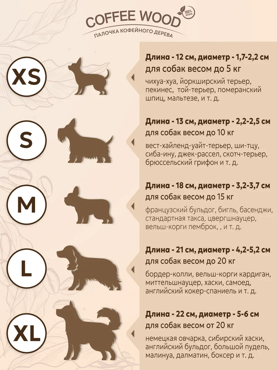 Coffee Wood Kahve Ağacı Çubuğu Xl 103753784