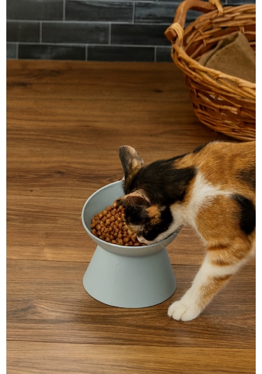 Yüksek Ayaklı Evcil Hayvan Mama Kabı - Mavi