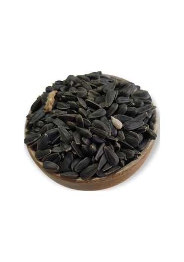 Hanımelipetstore Paraket Siyah Çekirdek 1KG