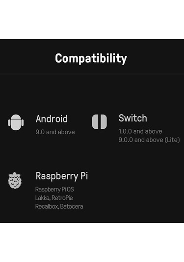 Bloomnest 8bitdo Lite 2 Bt Gamepad - Nintendo Switch, Lite, Android, Raspberry Pi İçin Ultra Taşınabilir - 175