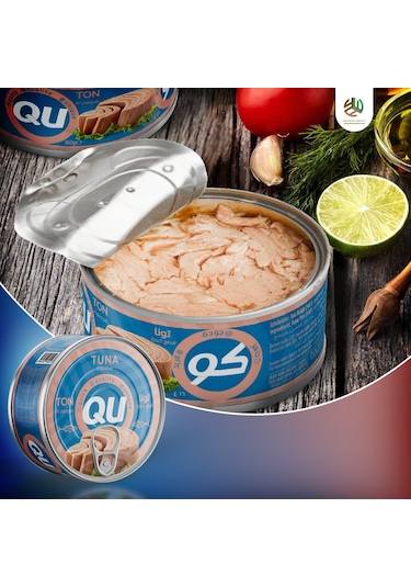 Qu Sade Ton Balığı 12 x 160 G
