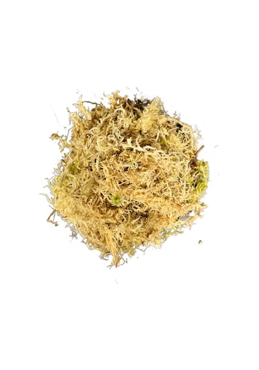 Sphagnum Yosunu 10 Lt