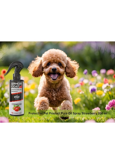 Armor Coat Köpek Bakım Spreyi Çilek Kokulu 200 ML