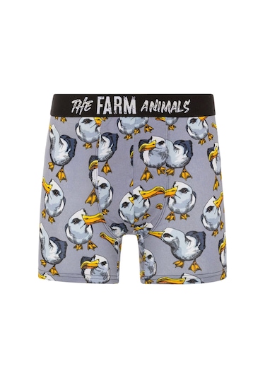 Farm Animals Seagull Desenli Boxer Çok Renkli