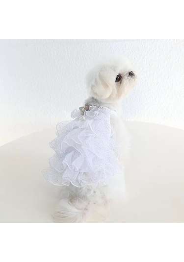 Best Golden Monkey Smok Beyaz Köpek Elbisesi 191666110