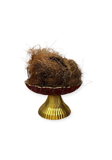 Mısır Püskülü 100 Gram