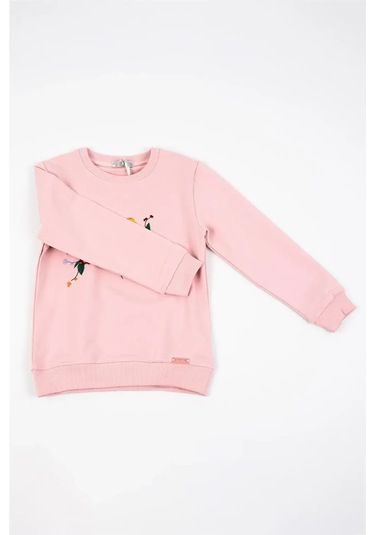 Kız Çocuk Pembe Uzun Kollu Kuş Nakış Detaylı Kışlık Sweatshirt Pembe