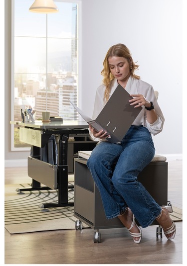 Creo Mobili Çekmeceli Kilitli Tekerlekli Vega Keson, Oturulabilir Ofis Ve Ev Komodini Antrasit/fuşya