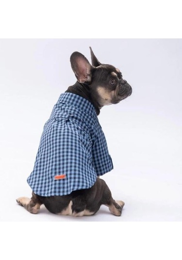 Pawstar Luss Mavi Kedi Ve Küçük Irk Köpek Gömleği