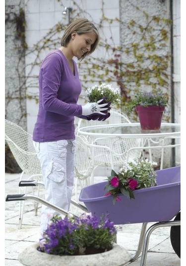 Rostaıng Nerıne Bahçe Ve Çok Amaçlı Eldiven