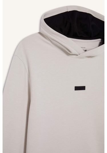 DeFactoFit Standart Fit Kapüşonlu Skuba Dalgıç Kumaş Sporcu Sweatshirt D7364AX25SPBG721