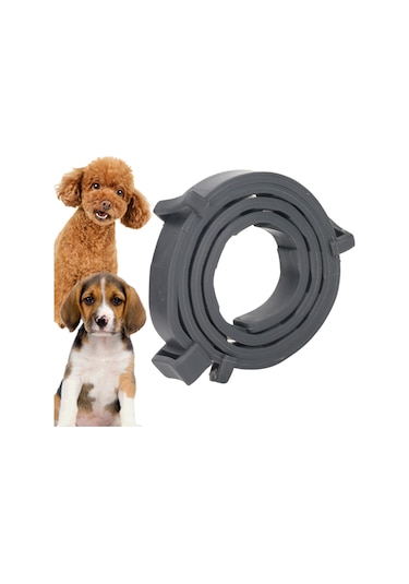 Homyl Kedi Köpek Için Pire Kene Yaka 10 Ay Koruma Evcil Hayvan Siyah