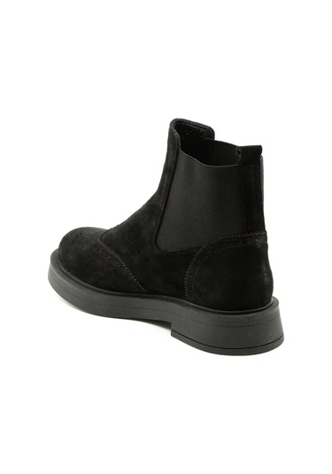 Dexter Tp811-70 Renkli Çok Renkli