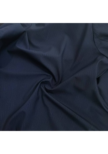 Çizgili Ceket Dik Yaka Büyük Beden Günlük Erkek Ceketi Lacivert