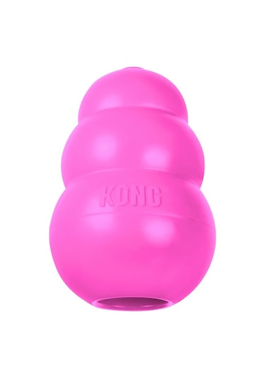 Kong Puppy Küçük Irk Yavru Köpek Isırma Oyuncağı Xs