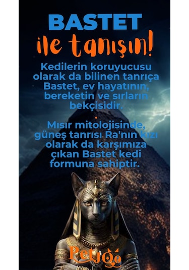 Petjoo 1.Bastet Turuncu-Mavi Qr'lı Kedi Künyesi