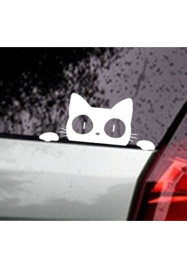 Kedi Oto Araba Sticker Yapıştırma