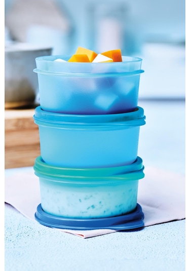 Tupperware Saklama ve Servis Kapları 3'lü Set 250ml