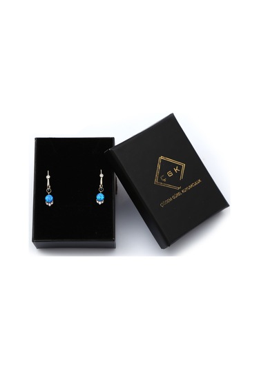 Taşlı Sallantılı Altın Küpe Kp0009 N11.18122