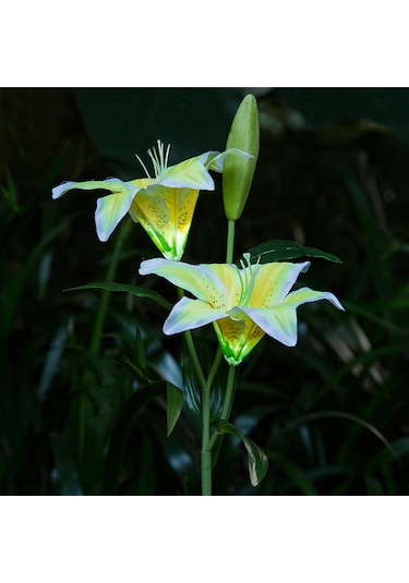 Suntek Güneş Enerjili Işıklar 2led Zambak Çiçeği Açık