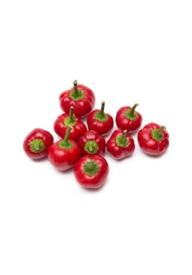 Tatlı Top Burkita Biber Tohumu 10 Tohum