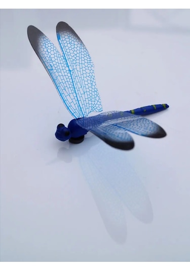 Luce St Buzdolabı Dekoru İçin 8 Parça 8.5 Cm Yusufçuk Mıknatısı Seti. 153978399