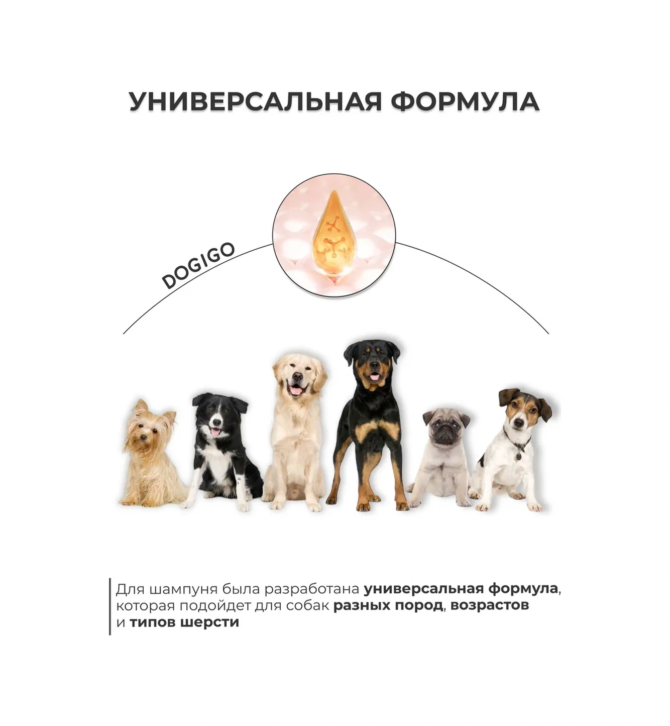 Dogıgo Dogıgo Köpekler İçin Kokusu Hapseden Pantolensli Hipoalerjenik Şampuan 223294883