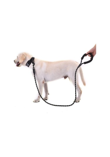 Reflektörlü Köpek Tasması Siyah 130 CM