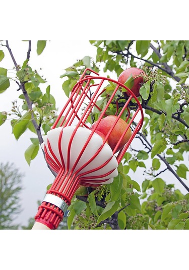 Sones Sökme Meyve Toplama Aletleri Bahçe Meyve Toplama Cihazı Kırmızı