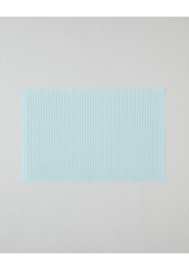 English Home Plaina Pvc 4'lü Amerikan Servis 30x45 Cm Açık Mint Açık Mint