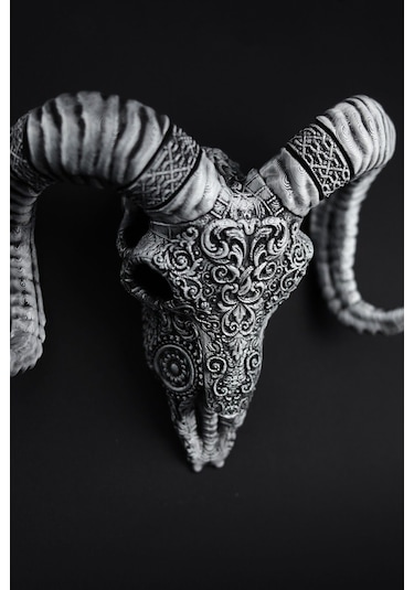 Koyun - Kuru Kafa - Figür / Büst - 17cm