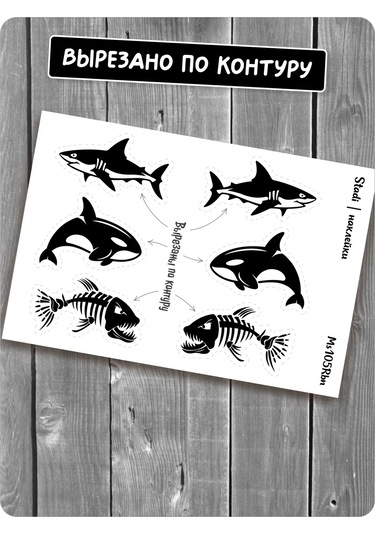 Stadi Devlet Plakası Etiketi Köpekbalığı 226337828