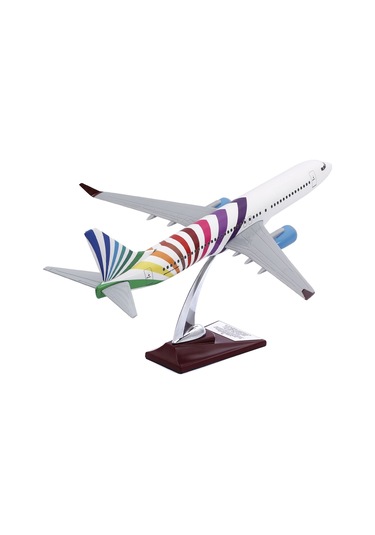 Zekupp - Maket Uçak - Boeing 737-800 1/100 - RENKLİ ÖZEL TASARIM Model Uçak