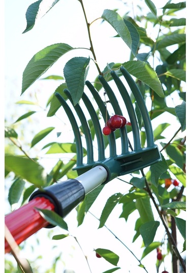 Meyve Toplama Aparatı (Sapsız-sırıksız) Set