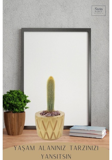 Çiçek Saksısı Dekoratif Kaktüs Saksı 1 Adet Baklava Model - Altın