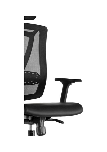 Goldsit Parox 000 Pa