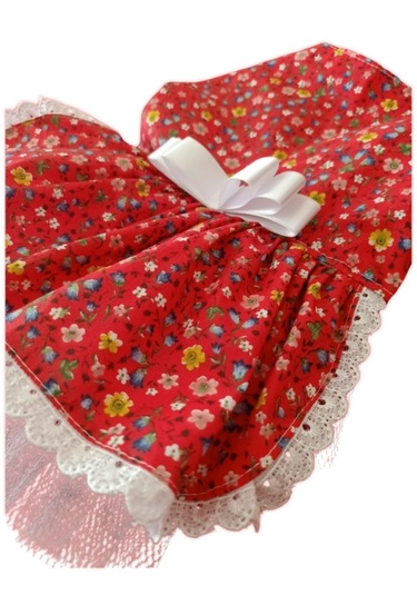 Gobo Rengarenk Çiçekli Fiyonklu Kedi Köpek Kıyafeti