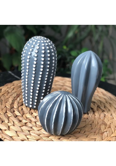 Thiramis Dekoratif 3'lü Kaktüs Gri Beyaz Detay