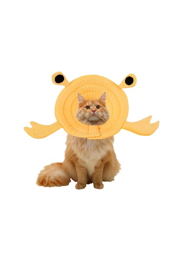 Homyl Ayarlanabilir Kedi Koni Yaka Anti Isırık Küçük L Sarı