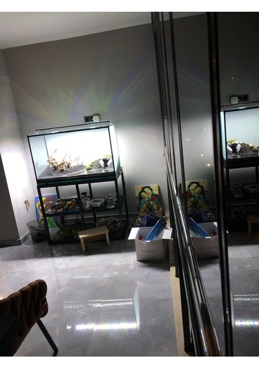 Shark Akvaryum Aydinlatma 4 Sira Osram Marka Ledli 566770147