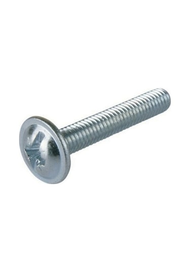 Kulp Vidası 30 Adet-4x20 Mm Kapak İçin