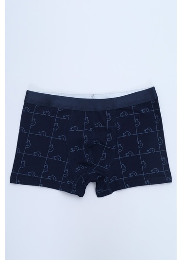 Toontoy Erkek Çocuk Çizgili Desenli Baskılı 4lü Paket Boxer Çok Renkli