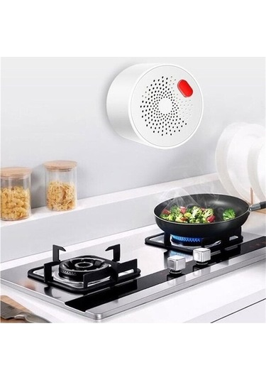 Motion003 Lichen Wi-fi Gaz Alarmı Graffiti App Gaz Dedektörü Plug-in 1 Adet, Güvenli Kullanım İçin 1 Adet