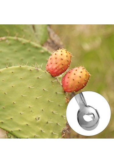 Reedark Paslanmaz Çelik Kaktüs Soyucu - Uzun Saplı Mutfak Aleti 19x4.8 Cm - Sebze Meyve Soyma Ve Dilimleme Aracı